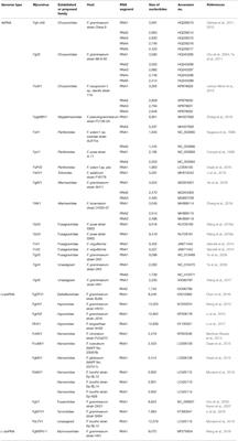 Mycoviruses in Fusarium Species: An Update